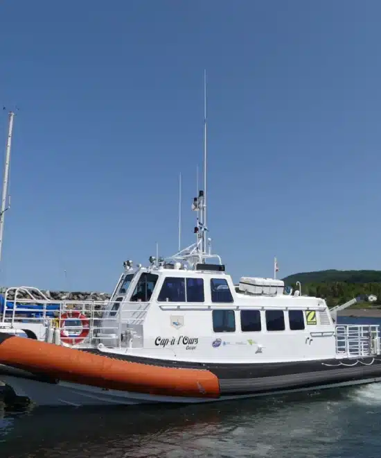 Croisière Spéciale Feux d'artifices